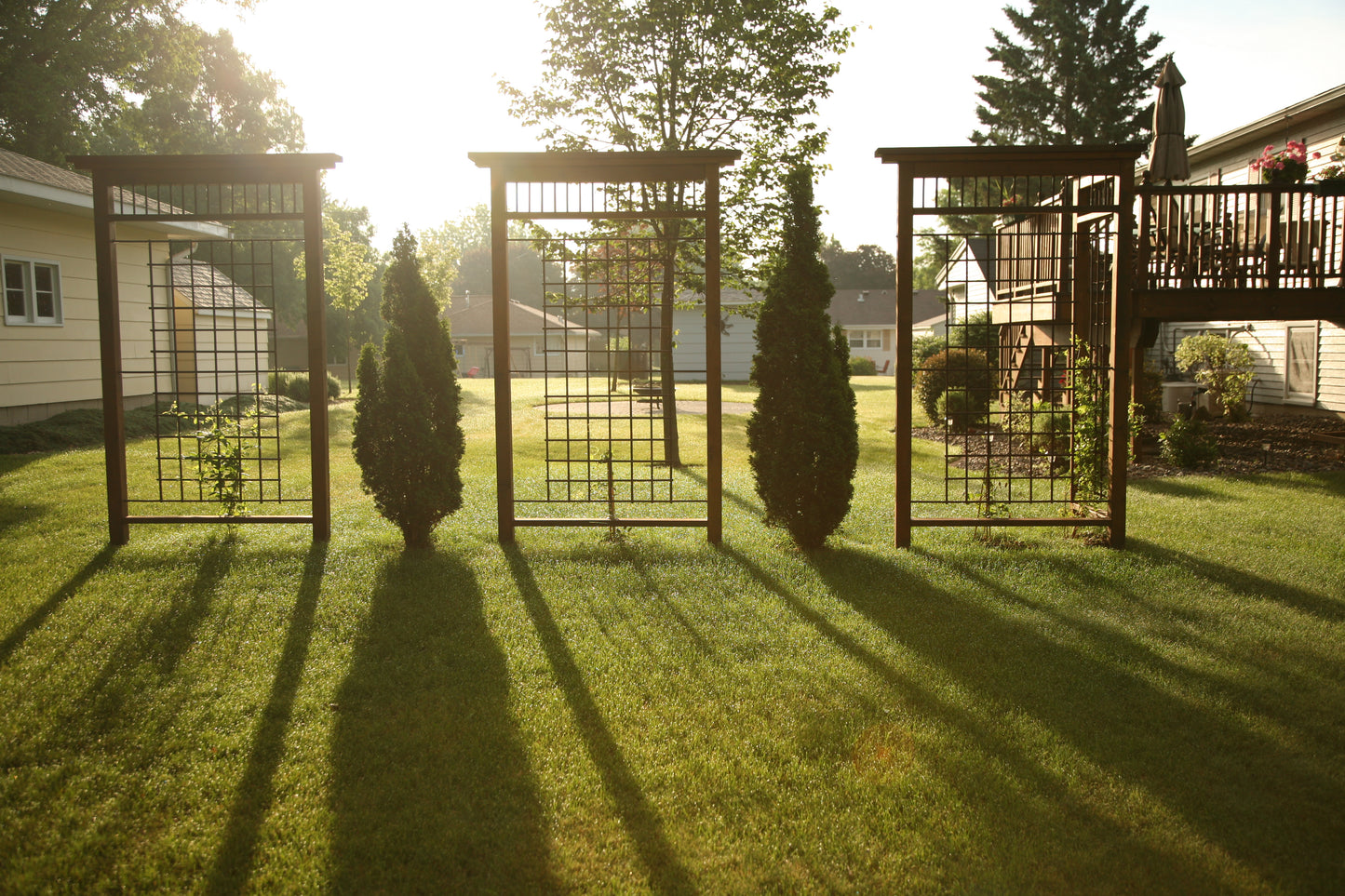 Palisade Cedar Trellis - Privacy Screen